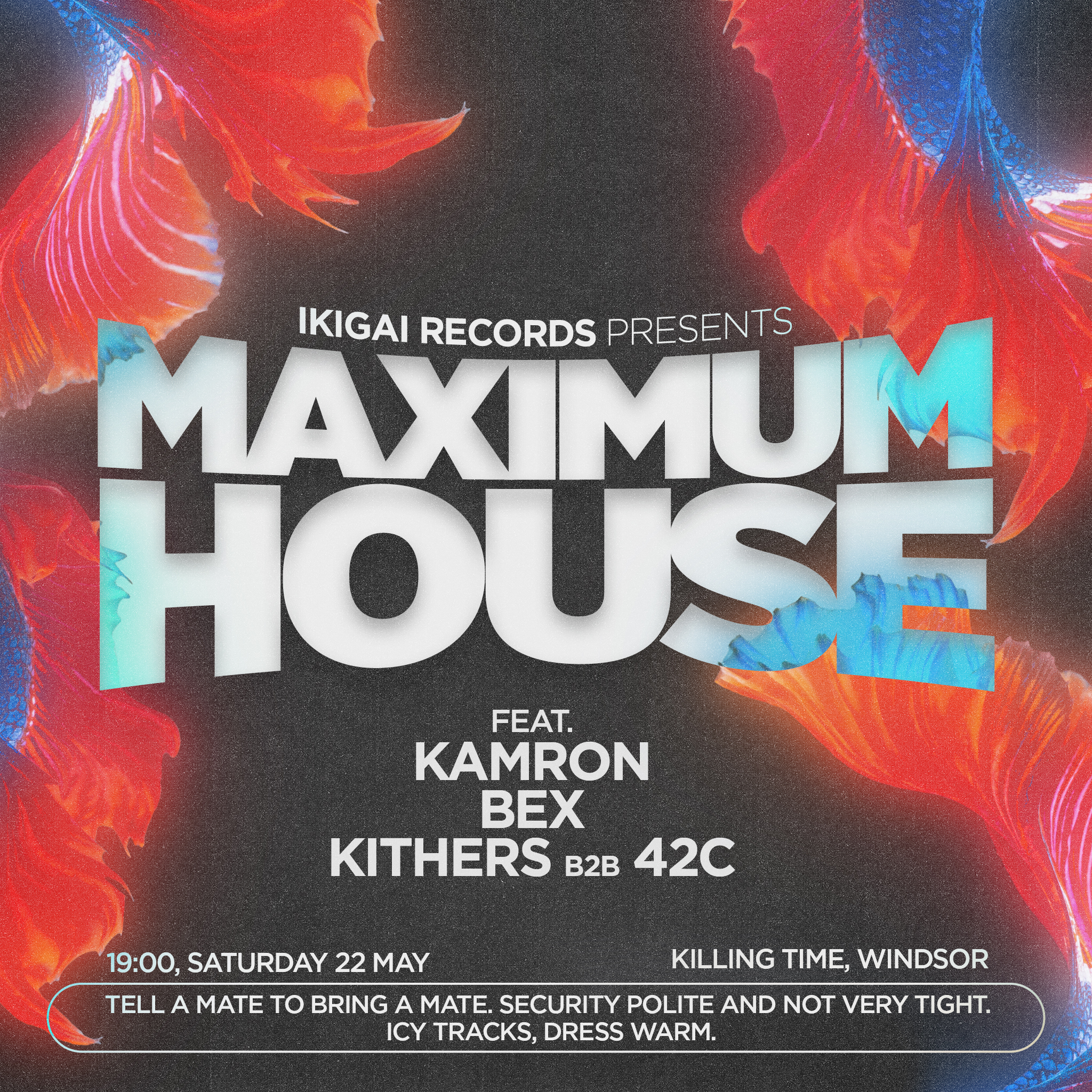 Maximum House 1x1